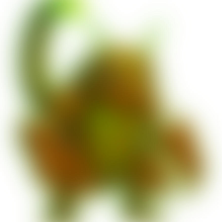 Tardiverse supports Carbon Positive Australia