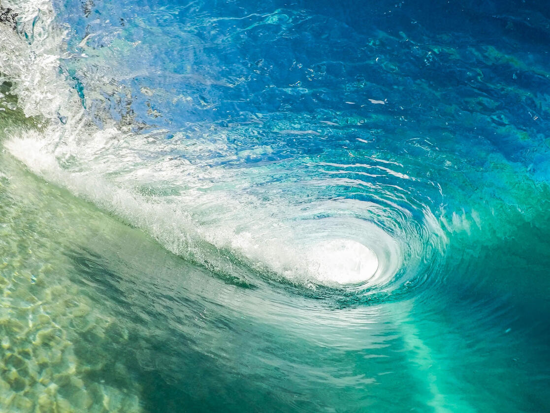 Tardiverse supports Tangaroa Blue Foundation