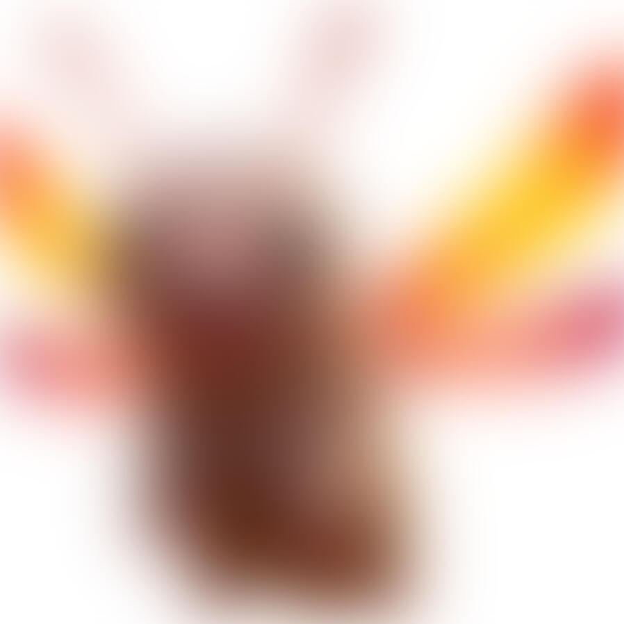 Tardiverse supports BirdLife Australia