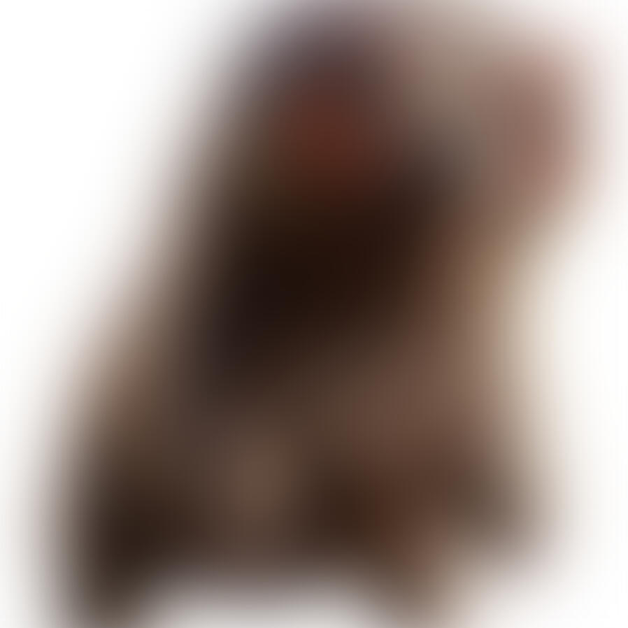 Tardiverse supports WIRES